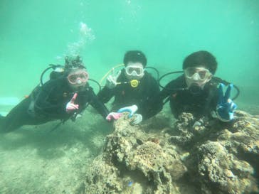 武藤潜水に投稿された画像（2019/10/26）