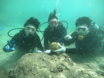 武藤潜水に投稿された画像（2019/10/26）