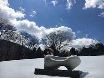 彫刻の森美術館に投稿された画像（2019/10/26）