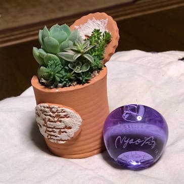 ちいさな硝子の本の博物館に投稿された画像（2019/10/26）