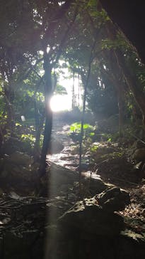 アスムイハイクスに投稿された画像（2019/10/26）