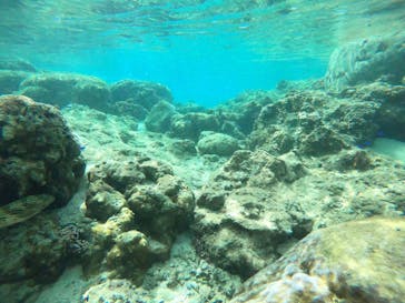 武藤潜水に投稿された画像（2019/10/27）