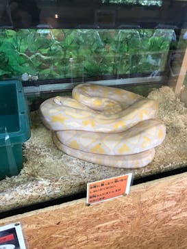 しろとり動物園に投稿された画像（2019/10/27）