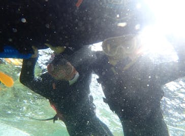 ダイビングショップ Sea Free（シーフリー）に投稿された画像（2019/10/27）