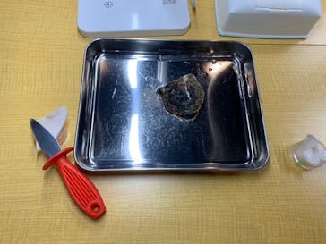 三重県真珠に投稿された画像（2019/10/27）