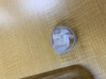 三重県真珠に投稿された画像（2019/10/27）