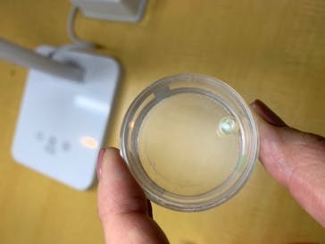 三重県真珠に投稿された画像（2019/10/27）