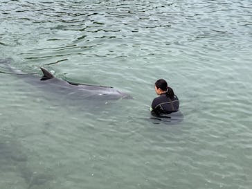 下田海中水族館に投稿された画像（2019/10/27）