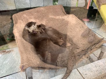 下田海中水族館に投稿された画像（2019/10/27）