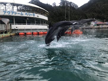 下田海中水族館に投稿された画像（2019/10/27）