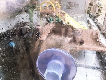 下田海中水族館に投稿された画像（2019/10/27）