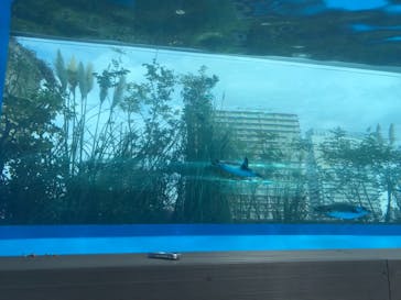 サンシャイン水族館に投稿された画像（2019/10/28）