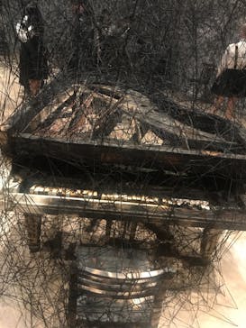 森美術館に投稿された画像（2019/10/28）