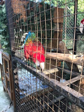 しろとり動物園に投稿された画像（2019/10/28）