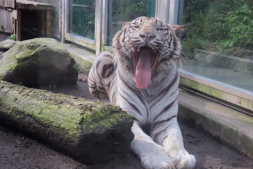 伊豆アニマルキングダムに投稿された画像（2019/10/28）