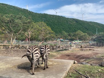 伊豆アニマルキングダムに投稿された画像（2019/10/28）