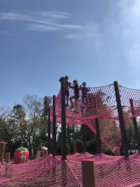 伊豆ぐらんぱる公園に投稿された画像（2019/10/28）