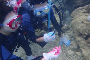 ダイビングショップ Sea Free（シーフリー）に投稿された画像（2019/10/29）