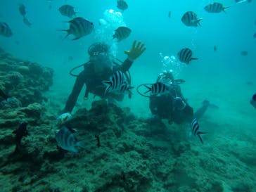 ドロップイン 沖縄に投稿された画像（2019/10/29）