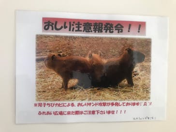 伊豆アニマルキングダムに投稿された画像（2019/10/28）