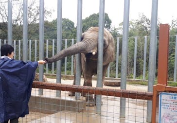 しろとり動物園に投稿された画像（2019/10/29）