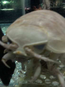 NIFREL（ニフレル）に投稿された画像（2019/10/30）