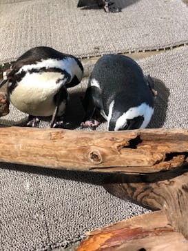 NIFREL（ニフレル）に投稿された画像（2019/10/30）