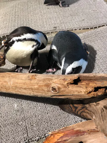 かいと さまが19 10 30 水に投稿した口コミ アソビュー