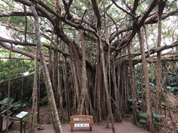 アスムイハイクスに投稿された画像（2019/10/30）