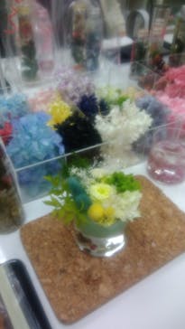 ずこうしつ〜sugamo〜に投稿された画像（2019/10/31）