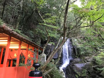 アソビュー株式会社　150881に投稿された画像（2019/11/1）