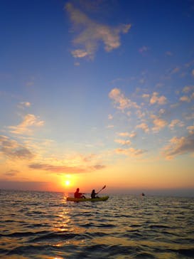 B-nature（ビーネイチャー）に投稿された画像（2019/11/2）