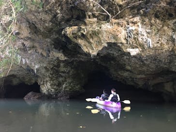 CHOROに投稿された画像（2019/11/2）