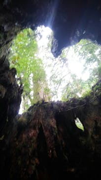 屋久島ガイドクラブに投稿された画像（2019/11/2）