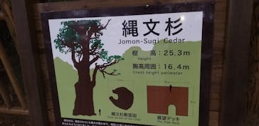 屋久島ガイドクラブに投稿された画像（2019/11/2）