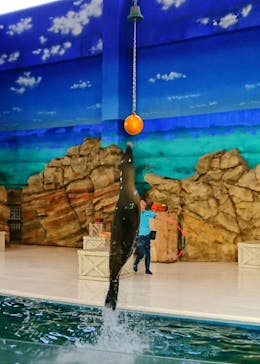 鳥羽水族館に投稿された画像（2019/11/2）