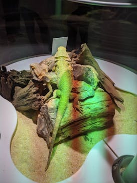 NIFREL（ニフレル）に投稿された画像（2019/11/2）