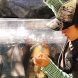 仙台うみの杜水族館に投稿された画像（2019/11/3）
