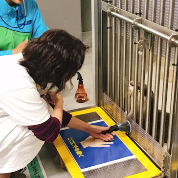 仙台うみの杜水族館に投稿された画像（2019/11/2）