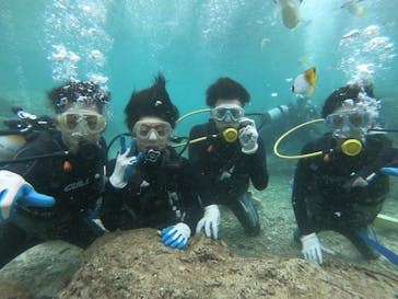 武藤潜水に投稿された画像（2019/11/3）