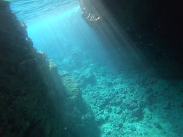 diving&workshop IHANASHI（ダイビングアンドワークショップイハナシ）に投稿された画像（2019/11/3）