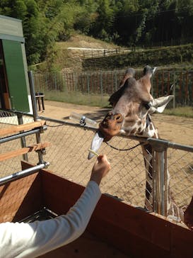 しろとり動物園に投稿された画像（2019/11/3）