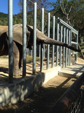 しろとり動物園に投稿された画像（2019/11/3）