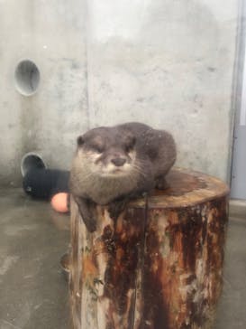 京急油壺マリンパークに投稿された画像（2019/11/3）