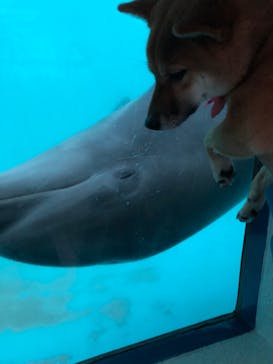 京急油壺マリンパークに投稿された画像（2019/11/3）