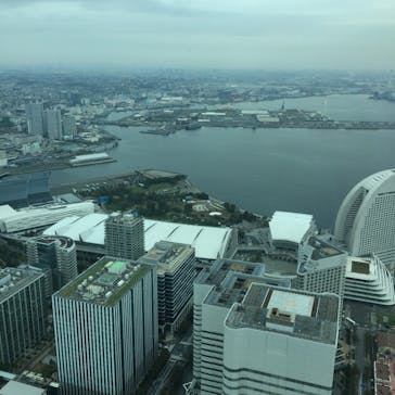 横浜ランドマークタワー 69階展望フロア スカイガーデンに投稿された画像（2019/11/4）