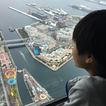 横浜ランドマークタワー 69階展望フロア スカイガーデンに投稿された画像（2019/11/4）