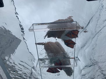 サンシャイン水族館に投稿された画像（2019/11/4）