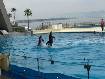 マリンワールド海の中道に投稿された画像（2019/11/4）