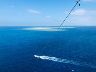 Sea World（シーワールド）に投稿された画像（2019/11/4）